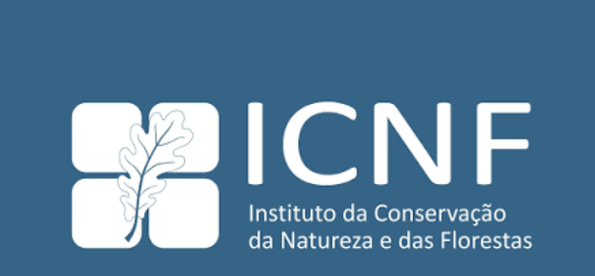 Official ICNF logo, the institute at the centre of this reform