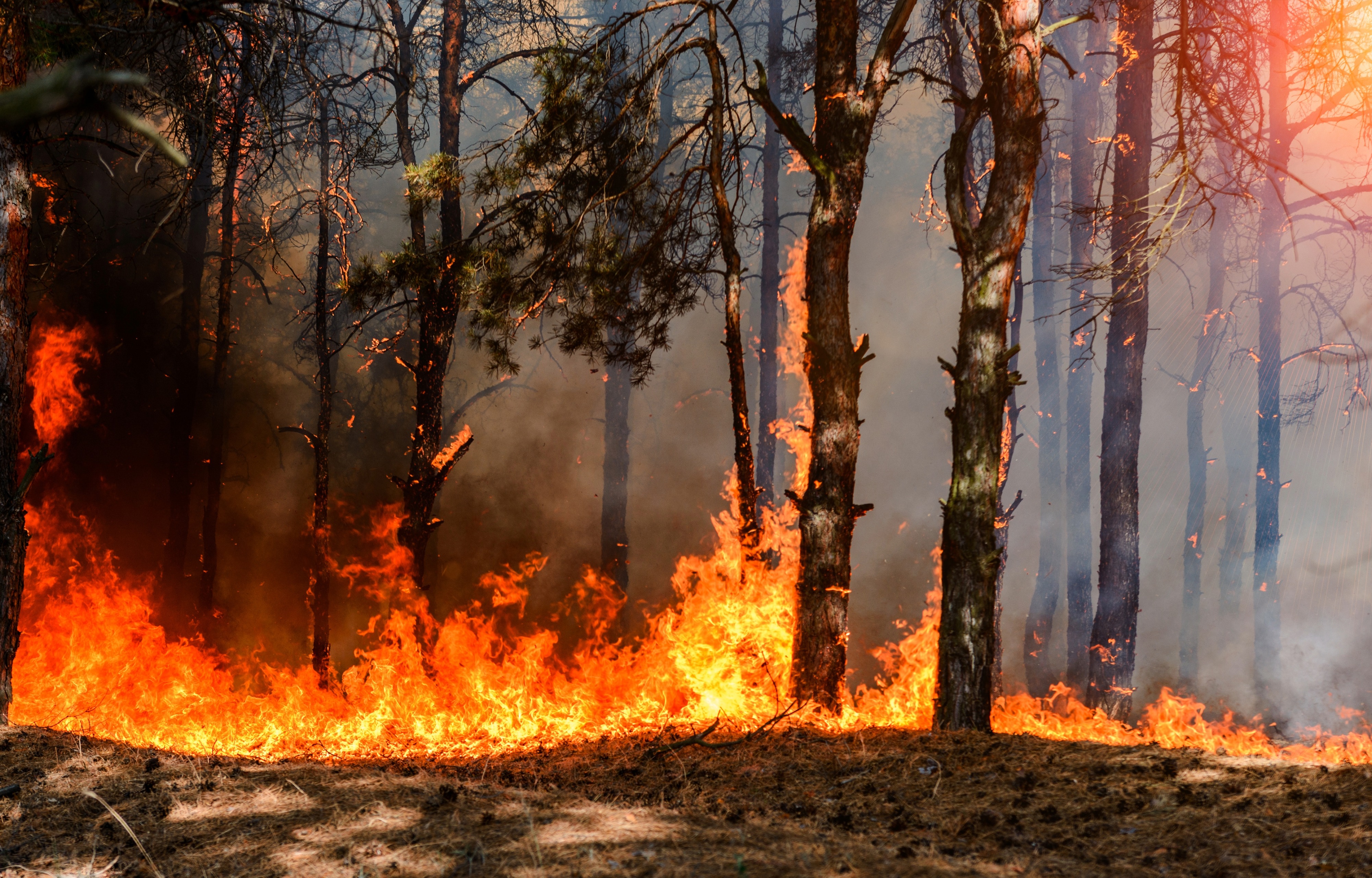 Seca e calor em Portugal