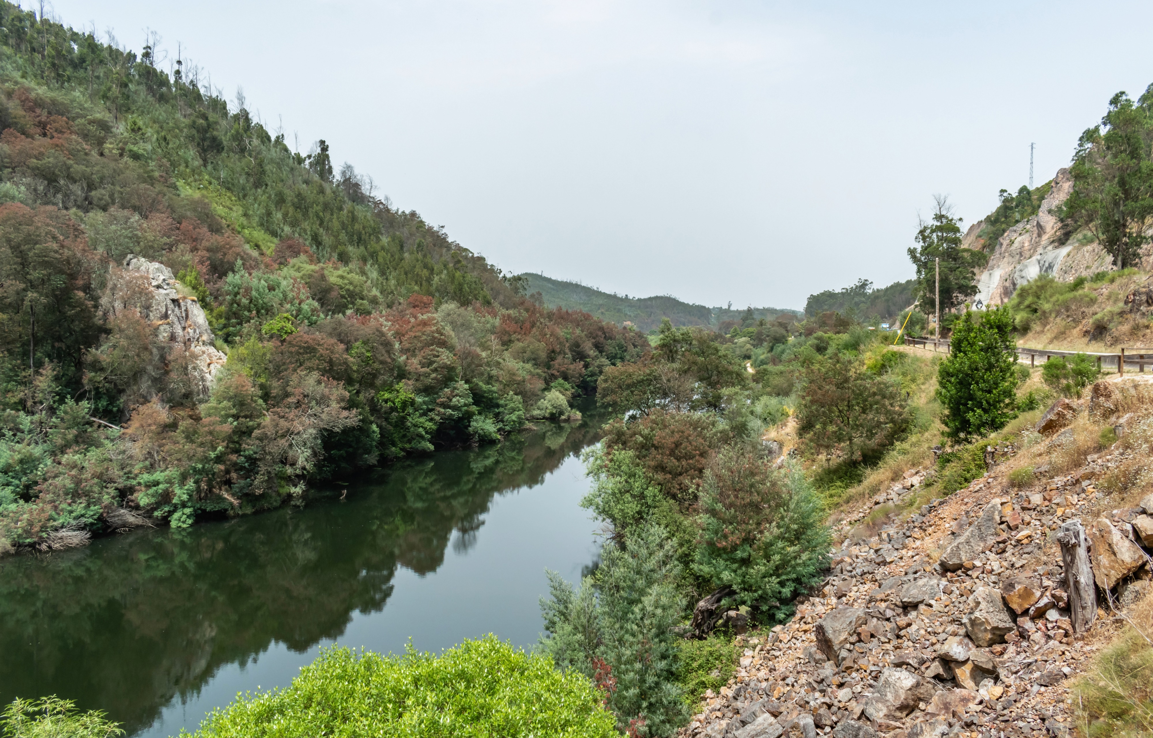 Rio Mondego