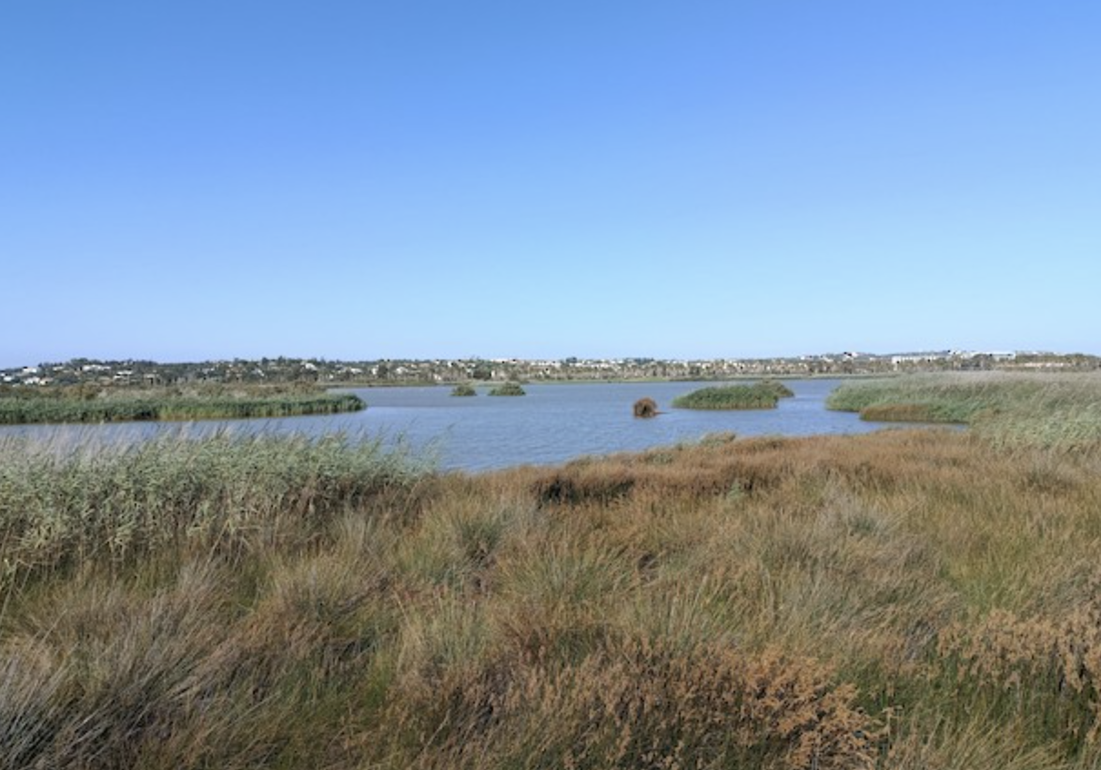 Lagoa dos Salgados, Silves, Algarve